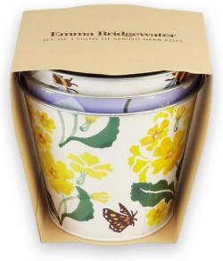 SPR1500 Bees and spring plant pots